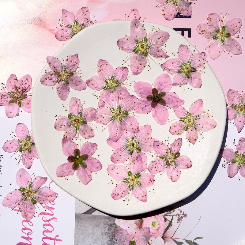 زهور الخوخ المجففة المضغوطة، 3 - مراجعة Photo Frame Baby وسعره